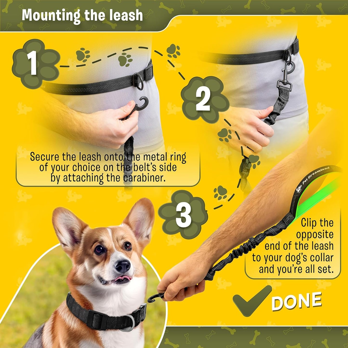 Premium Waist Dog Leash Belt – Hands-Free Leash for Medium Dogs – Durable & Adjustable Leash for Running, Walking, Hiking – Ultimate Comfort & Freedom for Active Dogs/ Real Petential