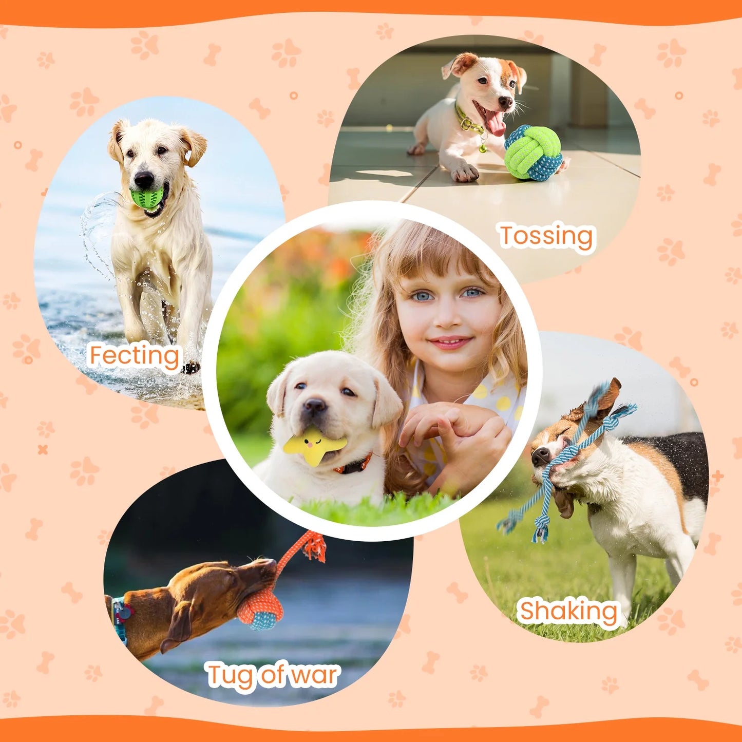 10-Pack Dog Toys for Small Dogs – Puppy Chew Toys for Teething & Training – Plush Squeaky Toys, Treat Ball & Rope Toys for Mental Stimulation & Play/ Real Petential