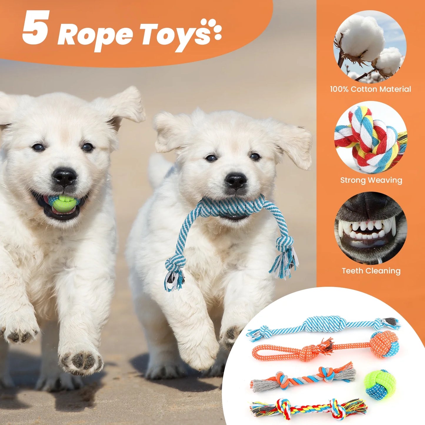 10-Pack Dog Toys for Small Dogs – Puppy Chew Toys for Teething & Training – Plush Squeaky Toys, Treat Ball & Rope Toys for Mental Stimulation & Play/ Real Petential
