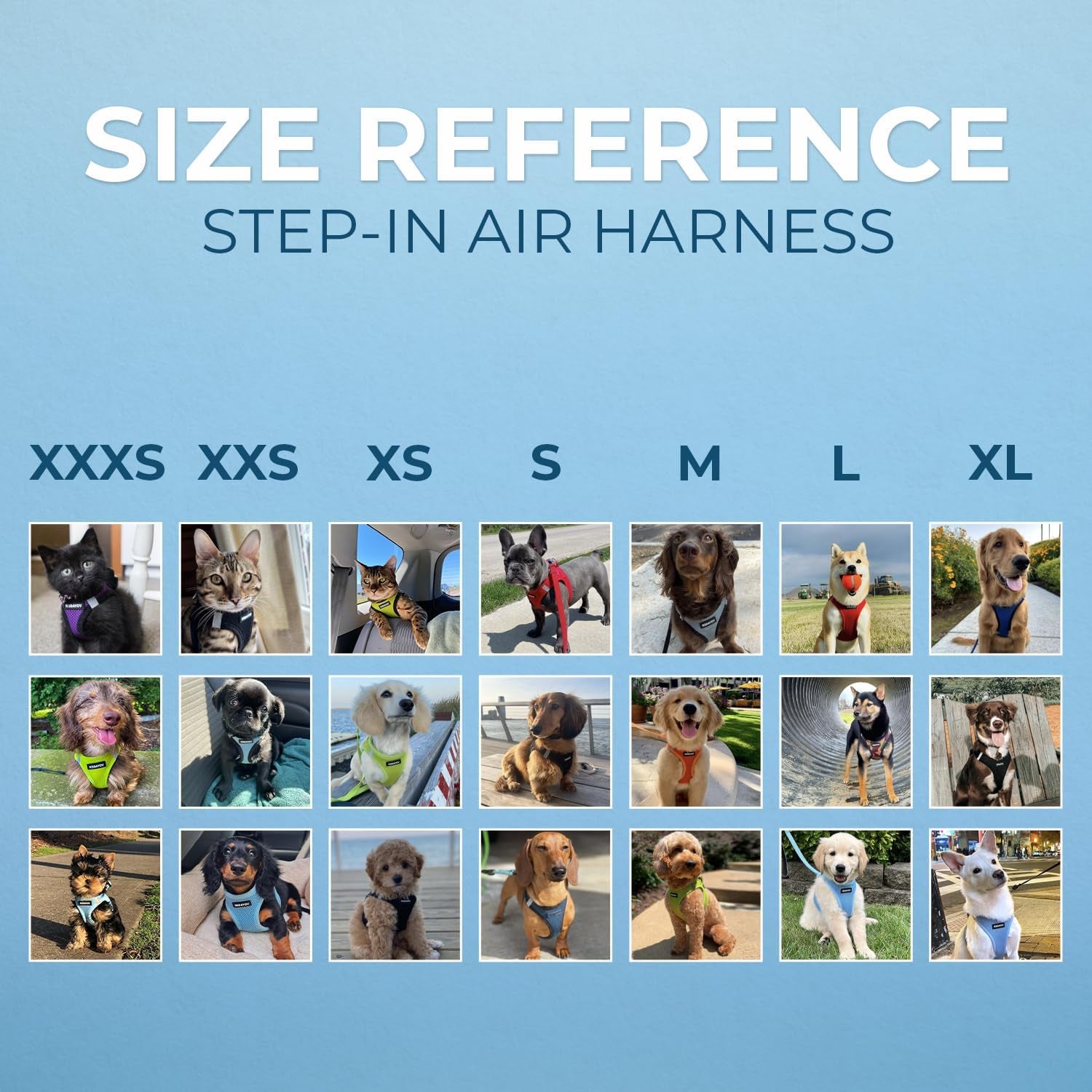 Voyager Step-In Air Dog Harness – No-Pull, Reflective Mesh Vest for Small & Medium Dogs & Cats – Secure Fit with Hook & Loop, Buckle & Double D-Rings – All-Weather, Fuchsia (Size S)/ Real Petential     
