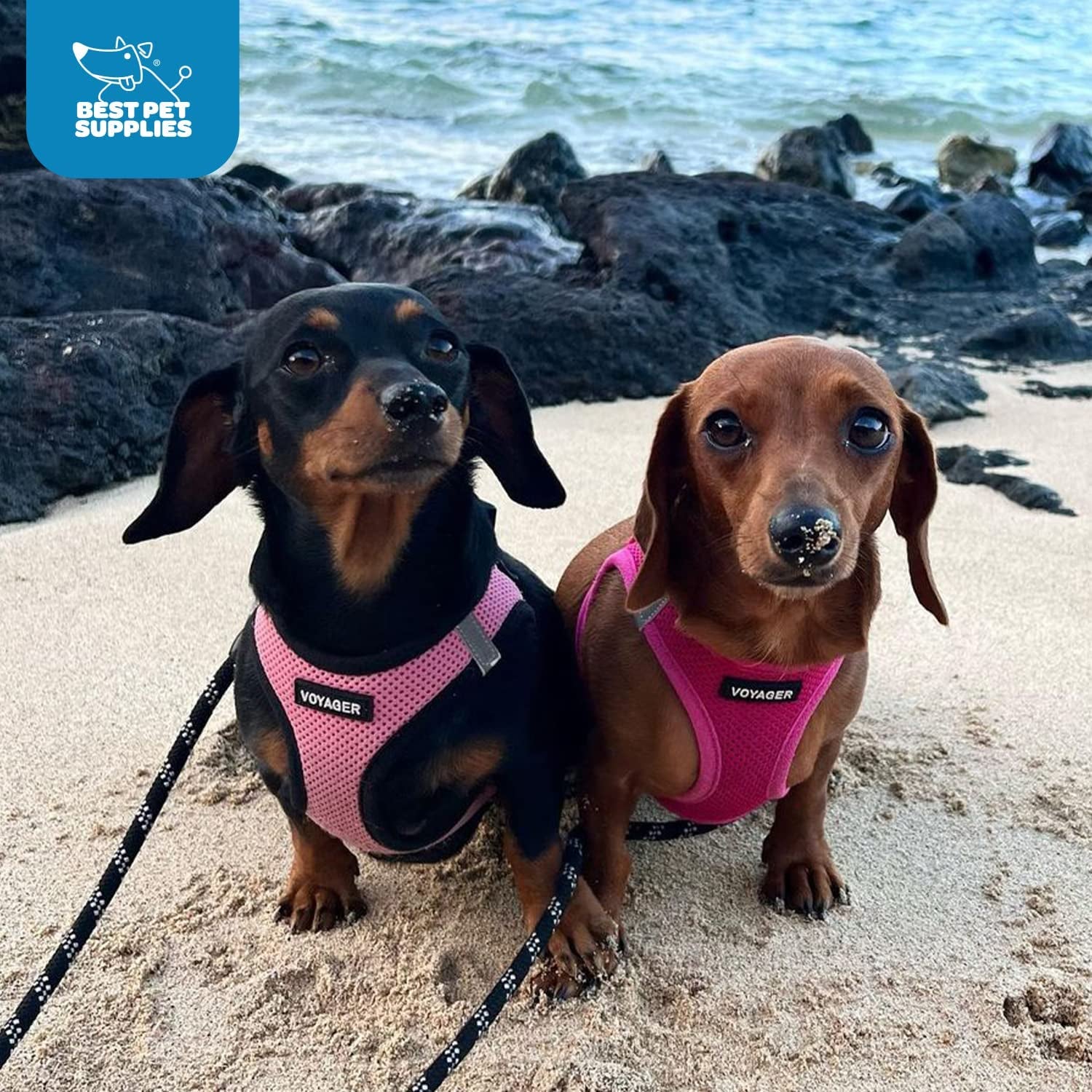 Voyager Step-In Air Dog Harness – No-Pull, Reflective Mesh Vest for Small & Medium Dogs & Cats – Secure Fit with Hook & Loop, Buckle & Double D-Rings – All-Weather, Fuchsia (Size S)/ Real Petential     