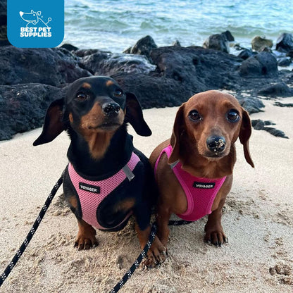 Voyager Step-In Air Dog Harness – No-Pull, Reflective Mesh Vest for Small & Medium Dogs & Cats – Secure Fit with Hook & Loop, Buckle & Double D-Rings – All-Weather, Fuchsia (Size S)/ Real Petential     