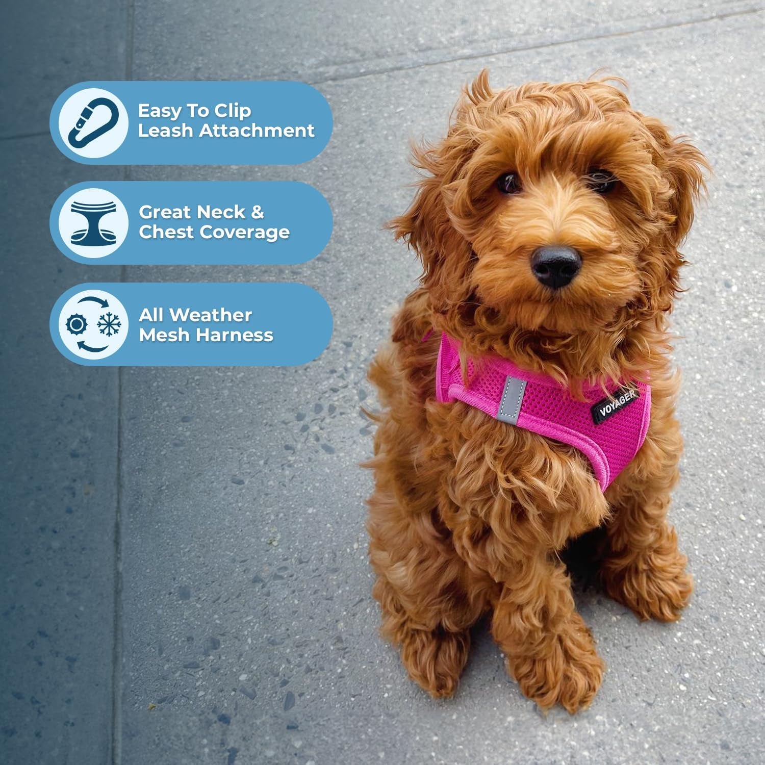 Voyager Step-In Air Dog Harness – No-Pull, Reflective Mesh Vest for Small & Medium Dogs & Cats – Secure Fit with Hook & Loop, Buckle & Double D-Rings – All-Weather, Fuchsia (Size S)/ Real Petential     
